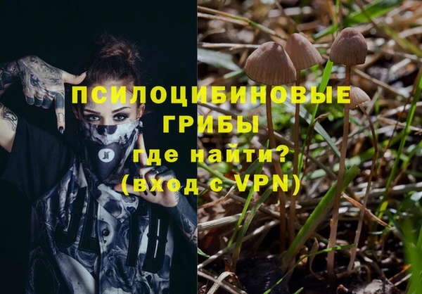соль ск Приозерск