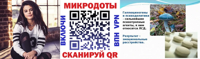 гидра   Нефтекумск  Галлюциногенные грибы Psilocybine cubensis 